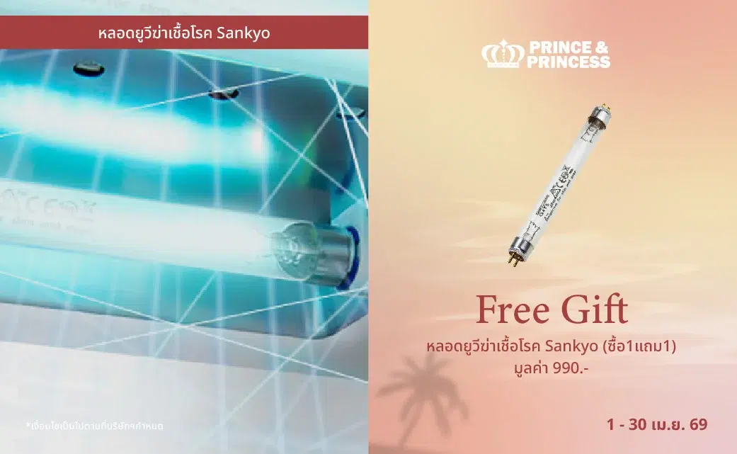 Banner Pro Baby Summer Essentials-08